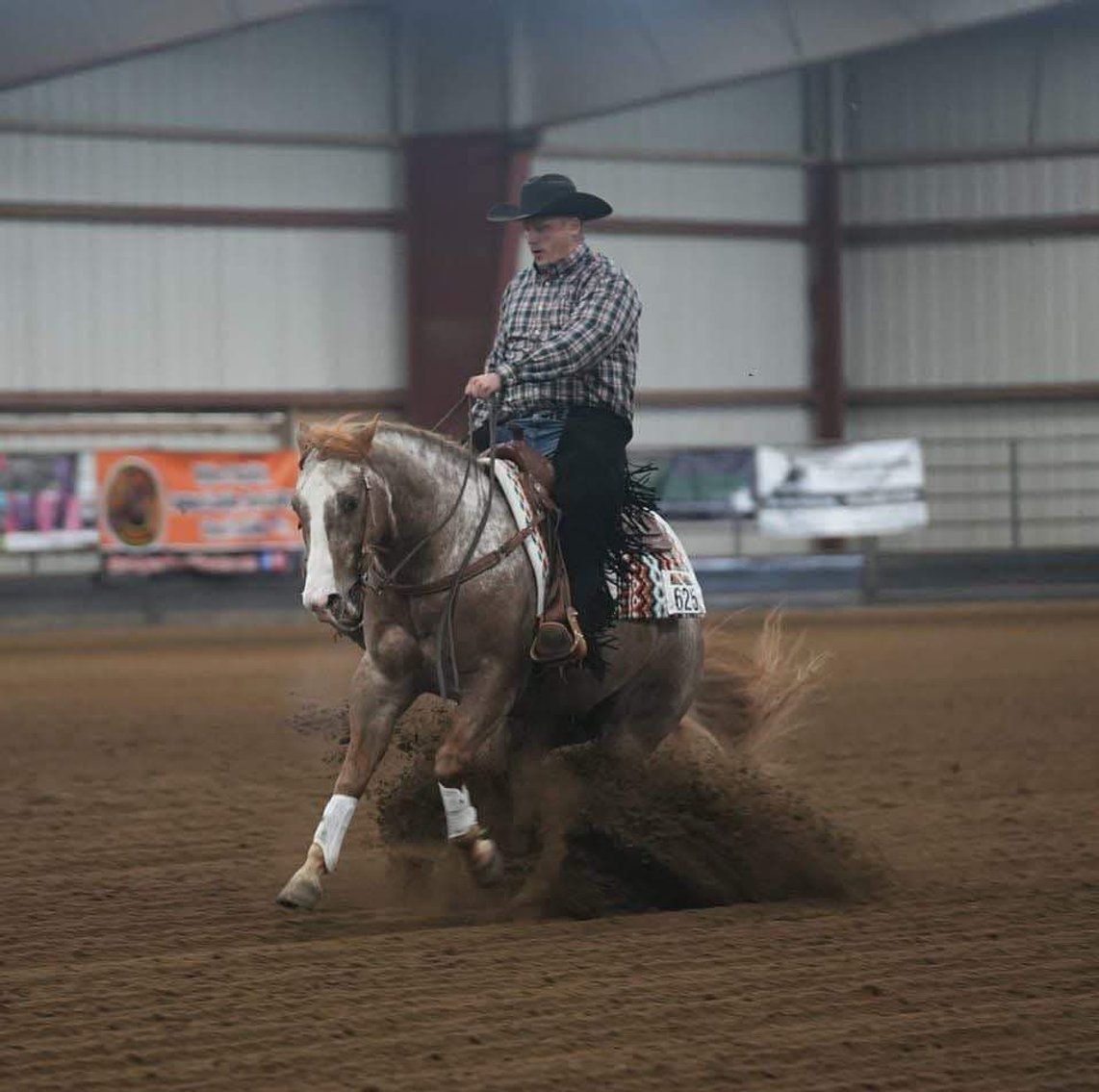 Image for DATE CHANGE Interstate Regional Stockyards TWO DAY FEBRUARY SPECIAL - DAY 1 - WEDNESDAY FEBRUARY 26TH