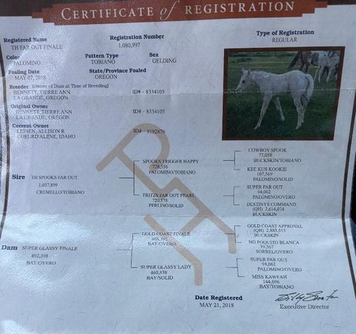 Image for Southwest Horse Sale Spring Catalog Sale - SATURDAY MARCH 22ND - Bush, LA