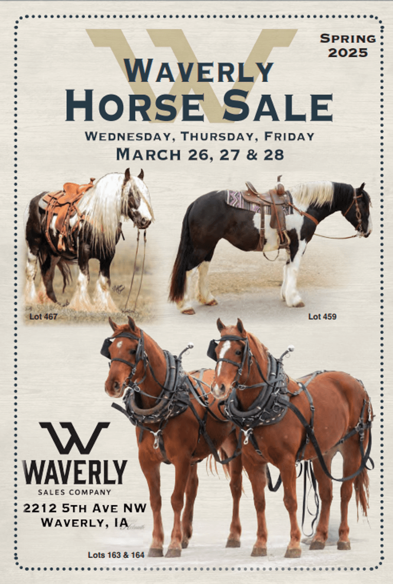 Image for Waverly Horse Sale - Horses Day One THURSDAY, MARCH 27TH - Waverly Iowa