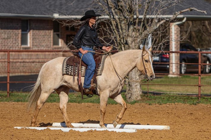 Image for Southwest Horse Sale Spring Catalog Sale - SATURDAY MARCH 22ND - Bush, LA