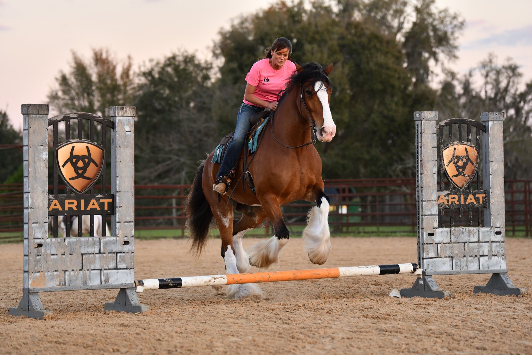 Image for Ocala Horse Sale - Saturday, April 19th - Ocala, Florida