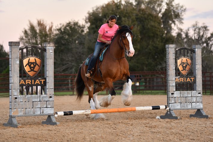 Image for Ocala Horse Sale - Saturday, April 19th - Ocala, Florida