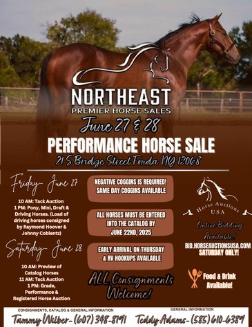Image for Northeast Premier Horse Sales - SATURDAY, JUNE 28TH - Fonda, NY
