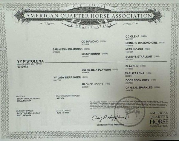 Image for Interstate Regional Stockyards Horse Sale - Cuba, Missouri WEDNESDAY JUNE 18TH