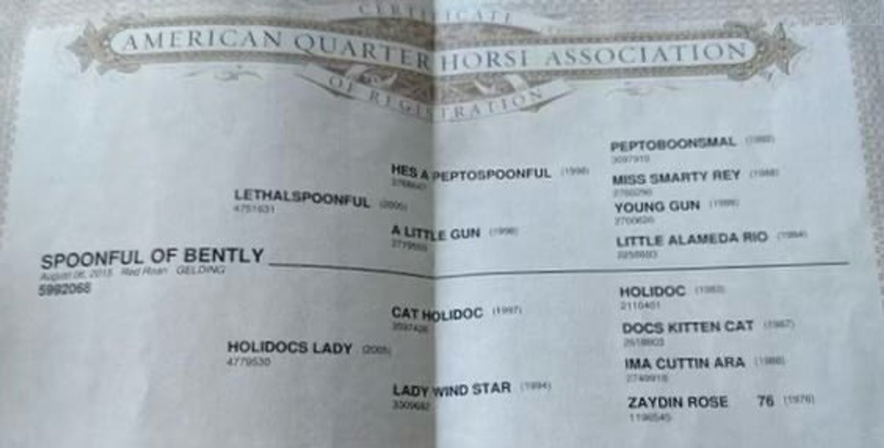Image for Interstate Regional Stockyards Horse Sale - Cuba, Missouri WEDNESDAY JUNE 18TH