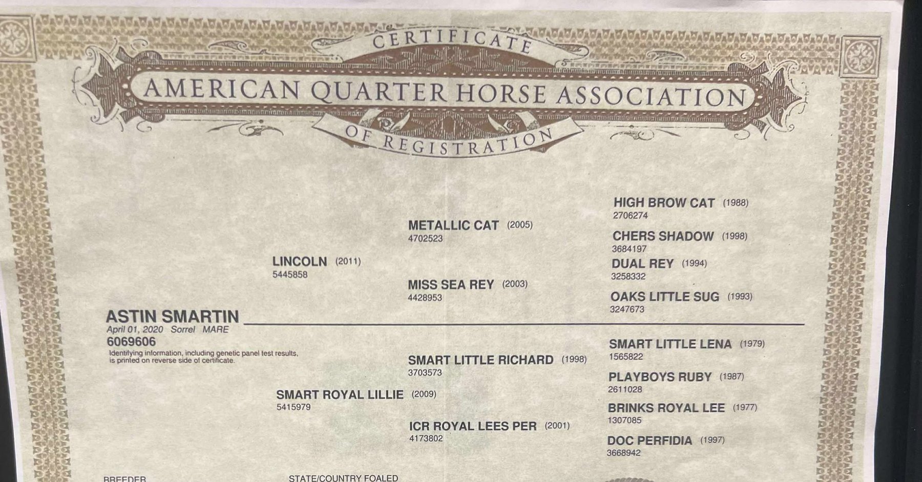 Image for Jones Livestock Auction MONTHLY HORSE & TACK SALE!   SATURDAY, JULY 12TH!