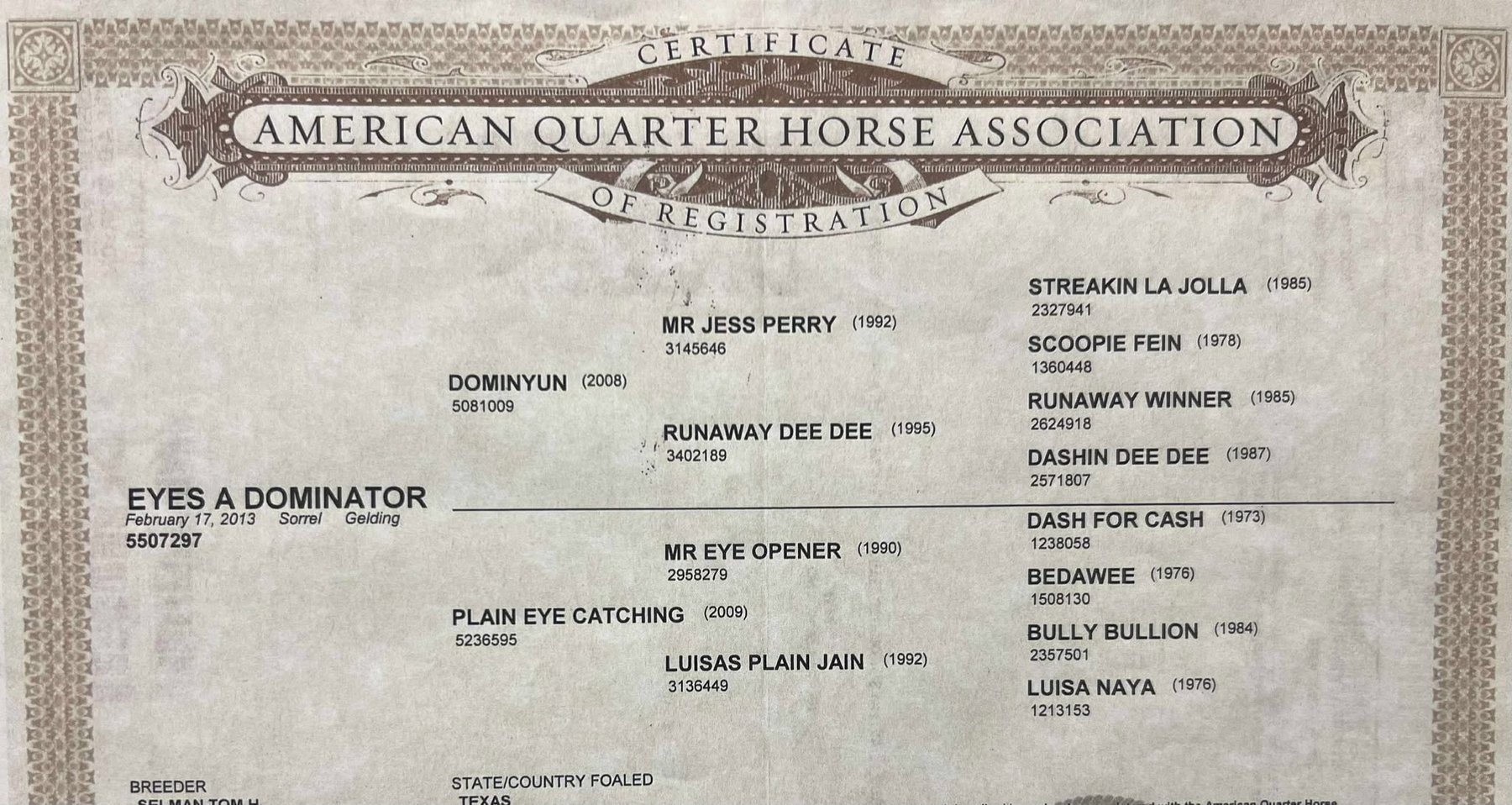 Image for Jones Livestock Auction MONTHLY HORSE & TACK SALE!   SATURDAY, JULY 12TH!