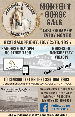Image for Springfield Livestock Horse Sale FRIDAY JULY 25TH - Springfield, MO