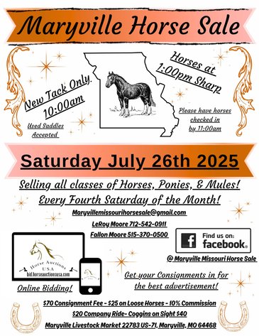 Image for Maryville Horse Sale - SATURDAY, JULY 26TH - Maryville, Missouri