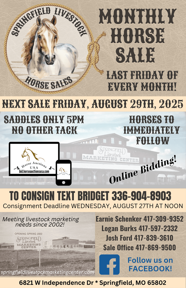 Image for Springfield Livestock Horse Sale FRIDAY AUGUST 29TH - Springfield, MO