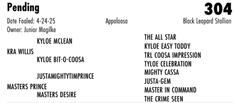 Image for Hermanson-Kist Fall All Breed Horse Sale - Mandan, North Dakota - September 18, 19, 20 - DAY ONE