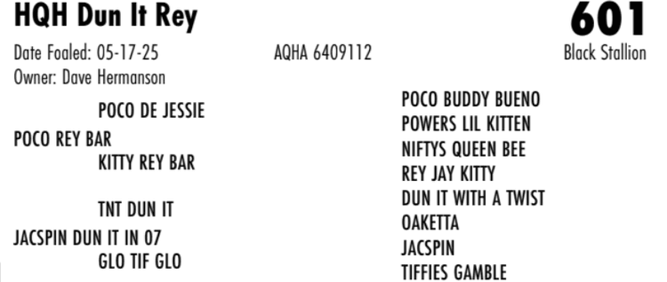 Image for Hermanson-Kist Fall All Breed Horse Sale - Mandan, North Dakota - September 18, 19, 20 - DAY TWO