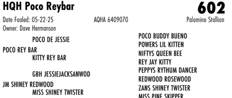 Image for Hermanson-Kist Fall All Breed Horse Sale - Mandan, North Dakota - September 18, 19, 20 - DAY TWO