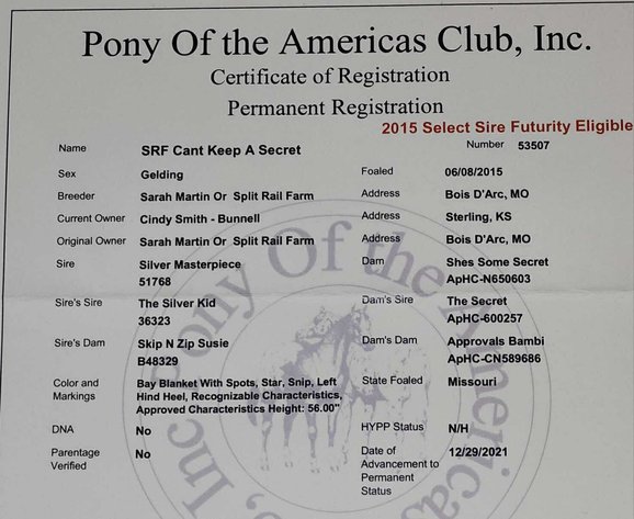 Image for Reno County Stockyards Horse Sale WEDNESDAY, SEPTEMBER 10TH - South Hutchinson, KS