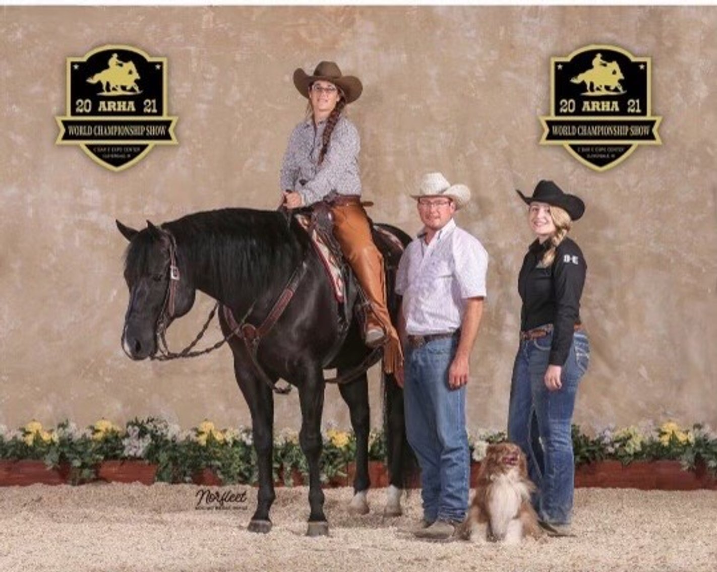 Image for Ocala Horse Sale - Saturday, September 13th - Ocala, Florida