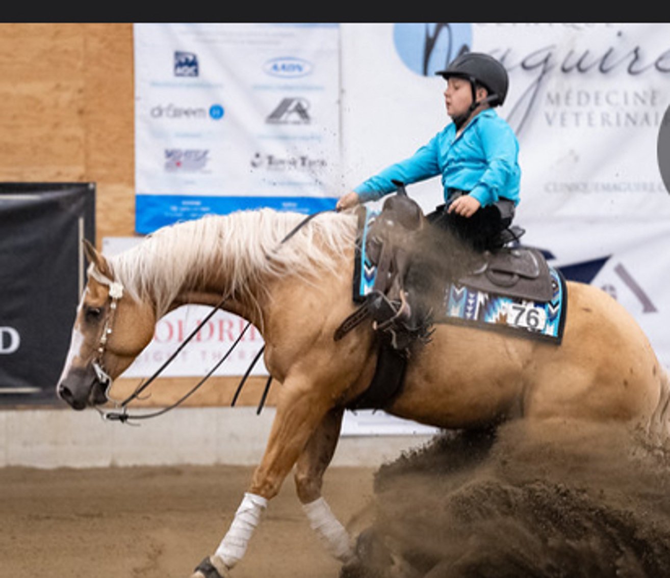 Image for Ocala Horse Sale - Saturday, September 13th - Ocala, Florida