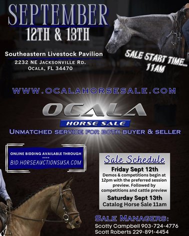 Image for Ocala Horse Sale - Saturday, September 13th - Ocala, Florida