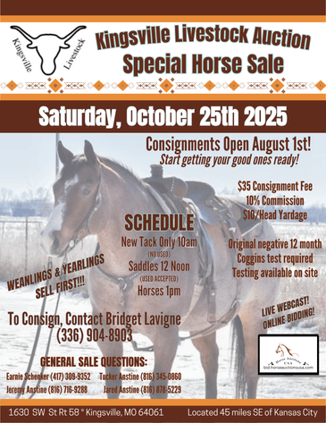 Image for Kingsville Livestock Auction Special Horse Sale - SATURDAY, OCTOBER 25TH - Kingsville, MO