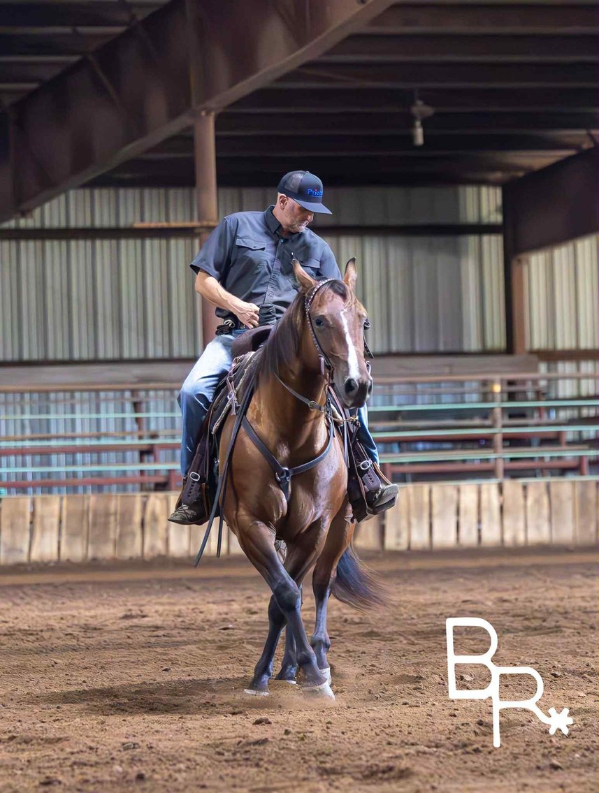 Image for Reno County Stockyards Horse Sale WEDNESDAY, OCTOBER 8TH - South Hutchinson, KS