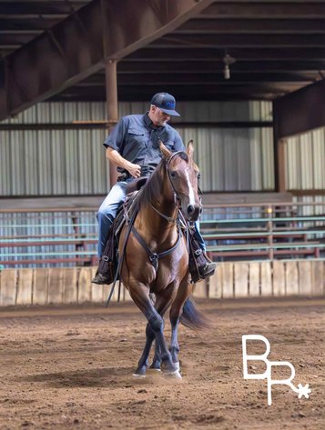 Image for Reno County Stockyards Horse Sale WEDNESDAY, OCTOBER 8TH - South Hutchinson, KS