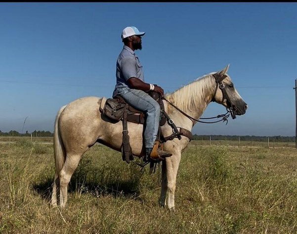 Image for Southwest Horse Sale Fall Catalog Sale - SATURDAY OCTOBER 25TH - Bush, LA