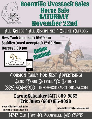 Image for Boonville Livestock Sales Fall Horse Sale - SATURDAY, NOVEMBER 22ND - Boonville, MO