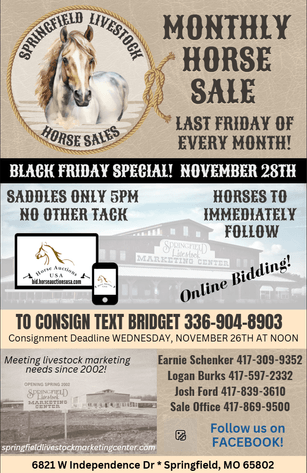 Image for Springfield Livestock Horse Sale FRIDAY NOVEMBER 28TH - Springfield, MO