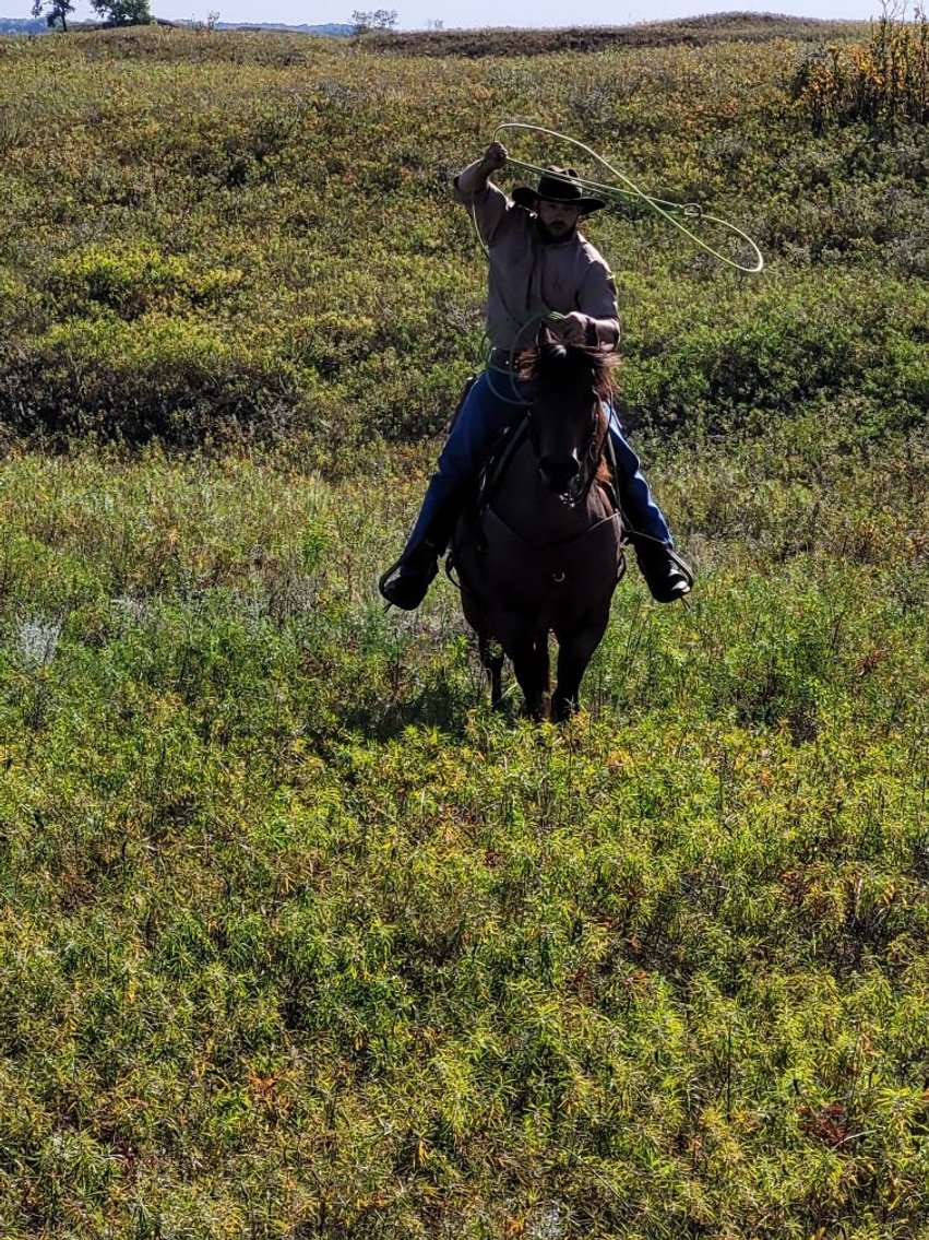Image for Corsica Horse Sales Catalog Horse Sale   SATURDAY, NOVEMBER 1ST - Corsica, South Dakota