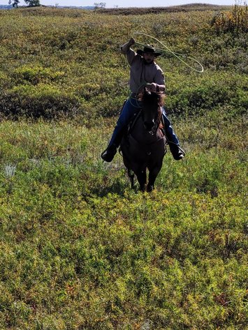 Image for Corsica Horse Sales Catalog Horse Sale   SATURDAY, NOVEMBER 1ST - Corsica, South Dakota