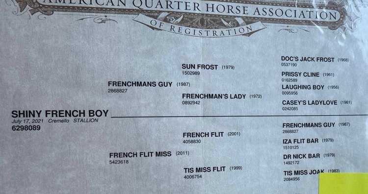 Image for Corsica Horse Sales Catalog Horse Sale   SATURDAY, NOVEMBER 1ST - Corsica, South Dakota