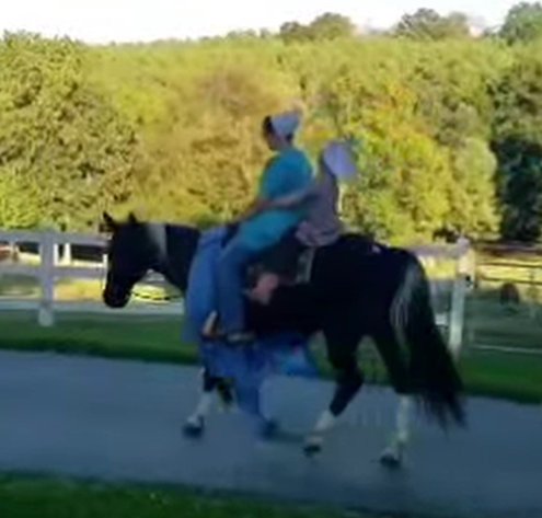 Image for Courtland Tack And Horse Auction Christmas Special  Saturday December 20,2025