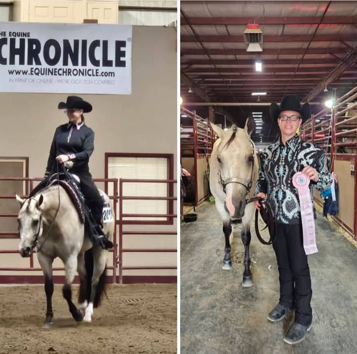Image for Holiday Registered Horse Sale - SATURDAY, DECEMBER 27TH - Delavan, Illinois