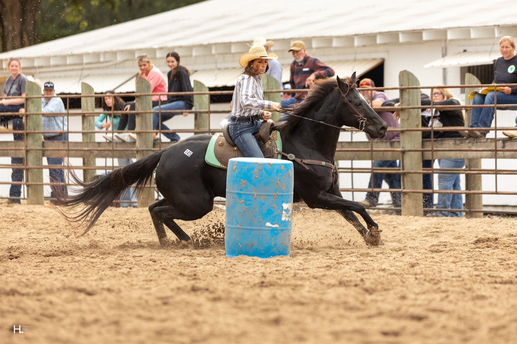 Image for Southwest Horse Sale Spring Catalog Sale - SATURDAY MARCH 28TH - Bush, LA
