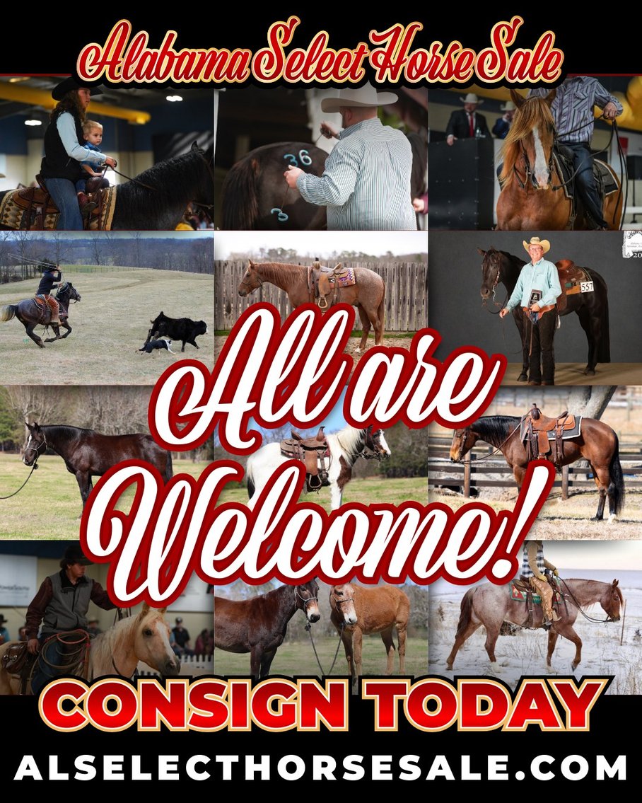 Image for Alabama Select Horse Sale - SATURDAY, MARCH 14TH - Montgomery, AL