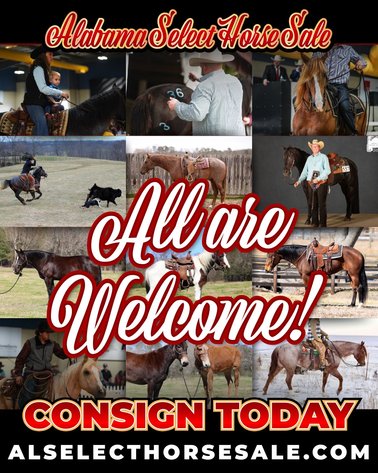Image for Alabama Select Horse Sale - SATURDAY, MARCH 14TH - Montgomery, AL