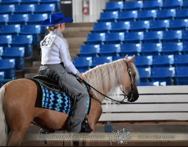 Image for East Tennessee 4B Gaited Horse Sale  White Pine, Tennessee - February 28th