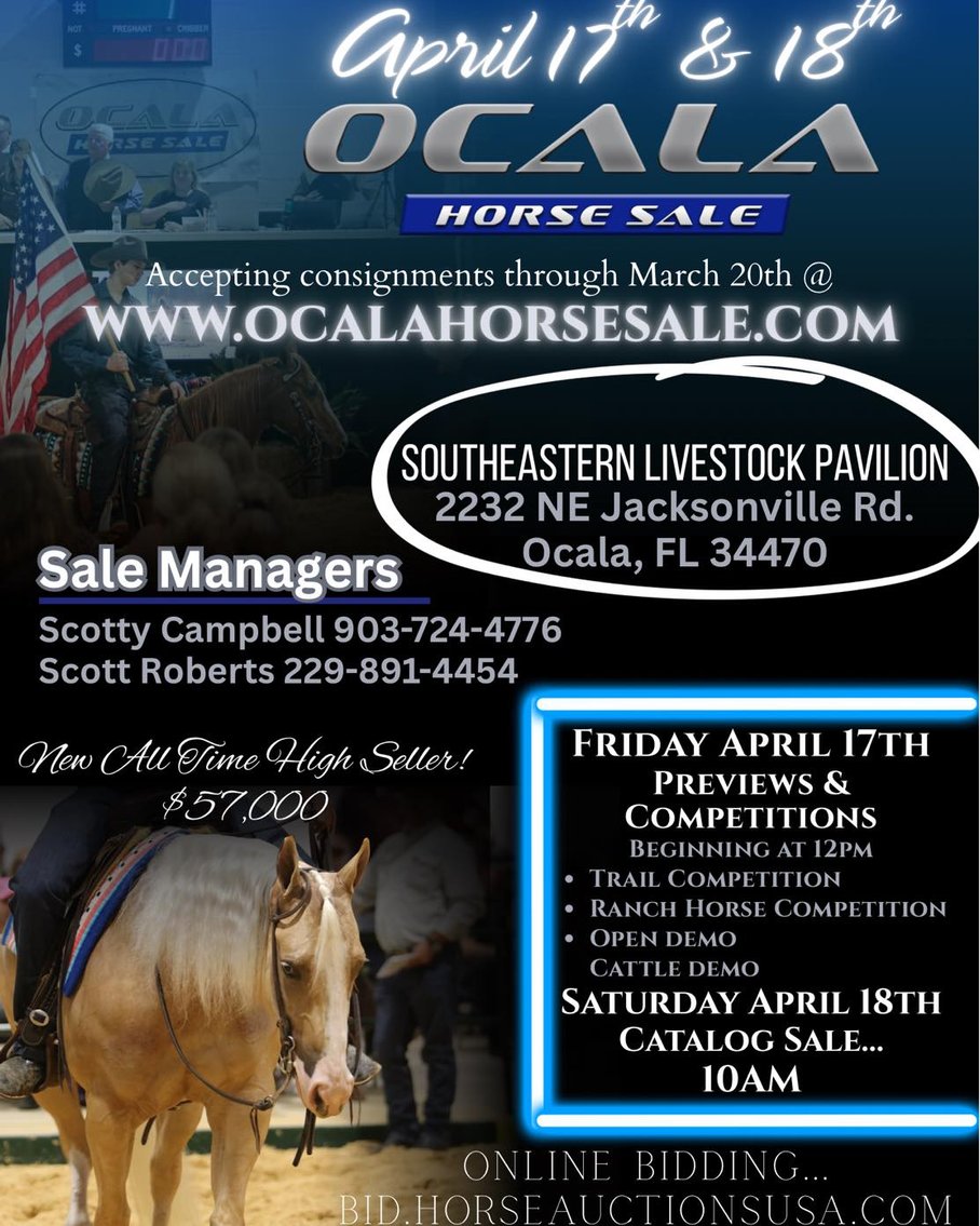 Image for Ocala Horse Sale Spring Sale - Saturday, April 18th - Ocala, Florida