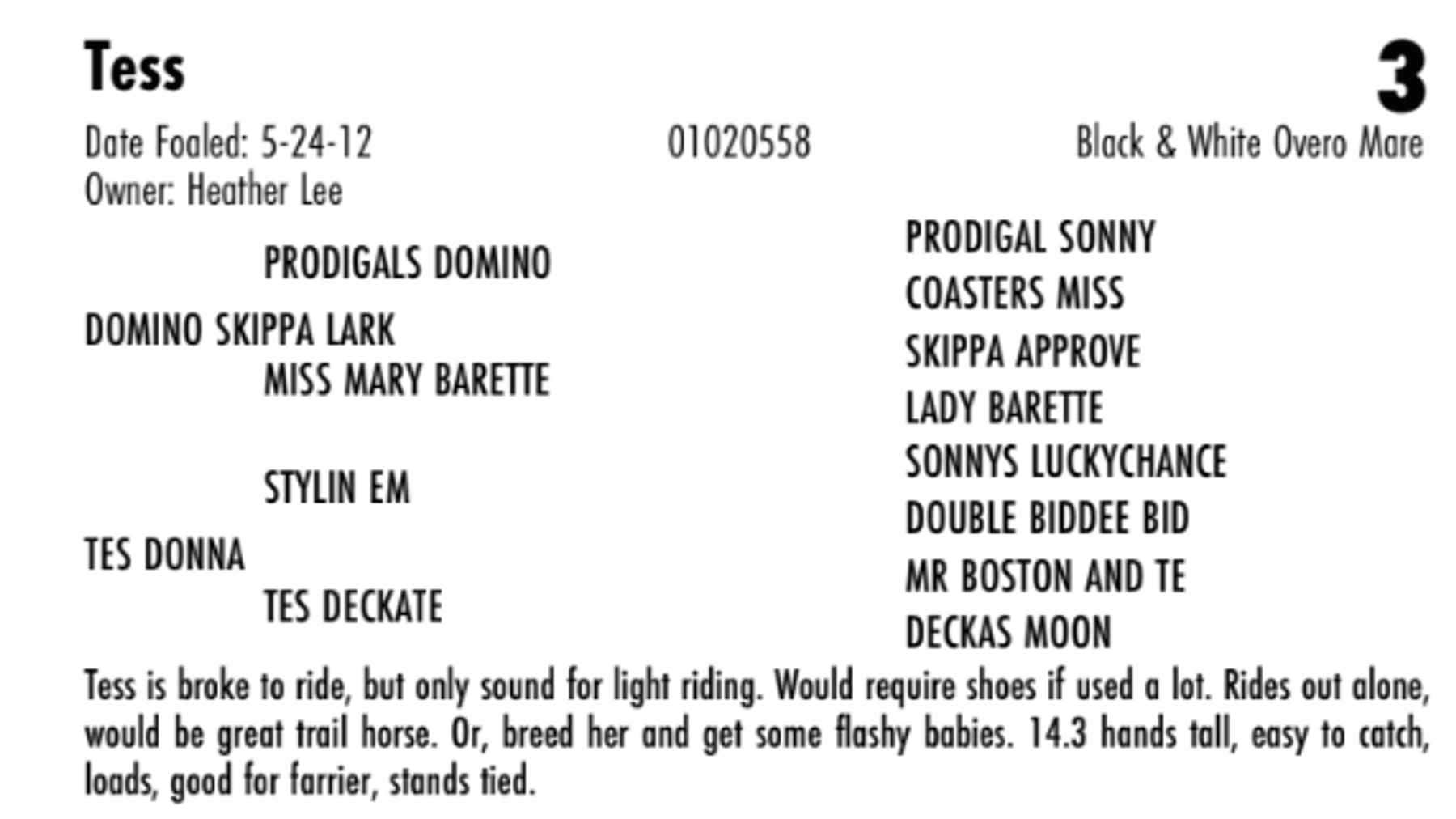 Image for Hermanson-Kist Spring All Breed Horse Sale - Mandan, North Dakota March 21st