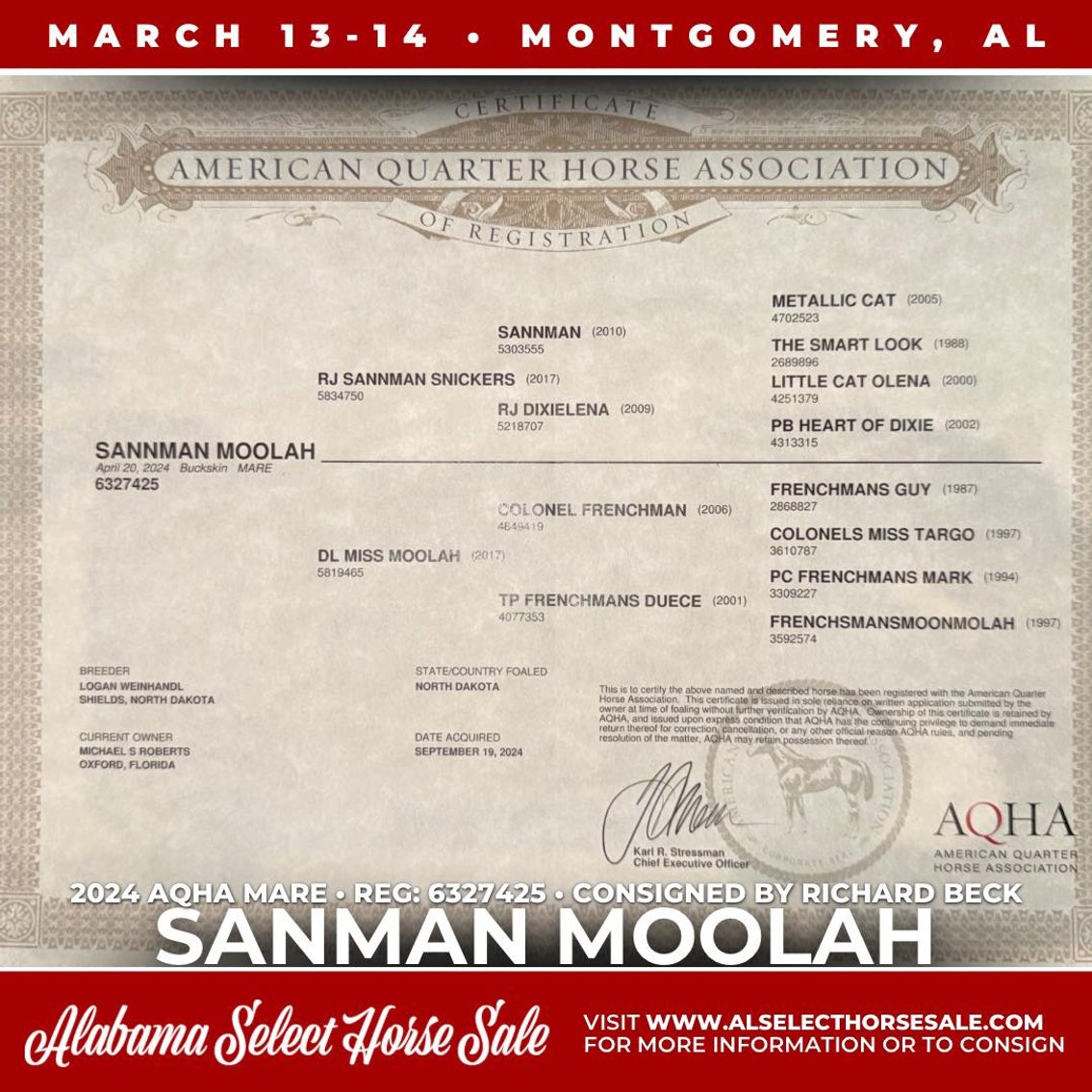 Image for Alabama Select Horse Sale - SATURDAY, MARCH 14TH - Montgomery, AL