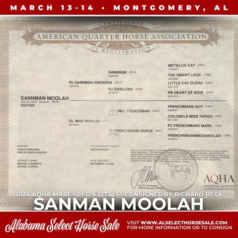 Image for Alabama Select Horse Sale - SATURDAY, MARCH 14TH - Montgomery, AL