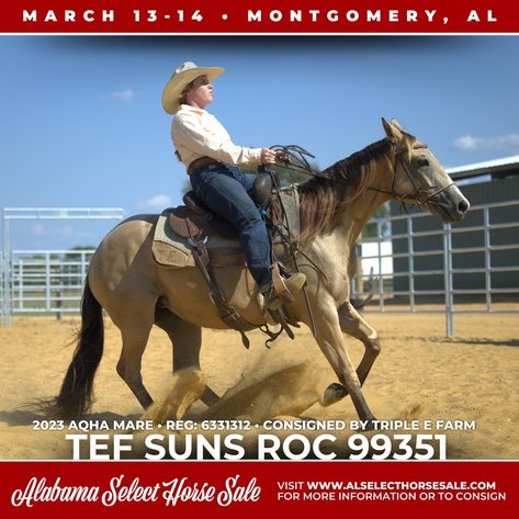 Image for Alabama Select Horse Sale - SATURDAY, MARCH 14TH - Montgomery, AL