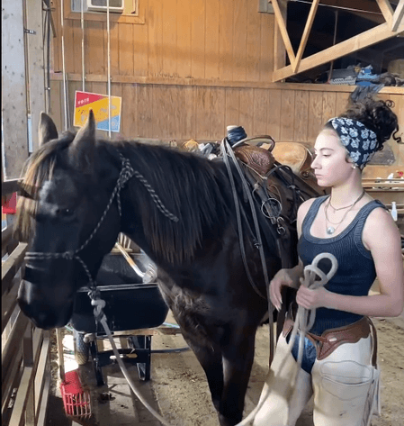 Image for Hermanson-Kist Spring All Breed Horse Sale - Mandan, North Dakota March 21st