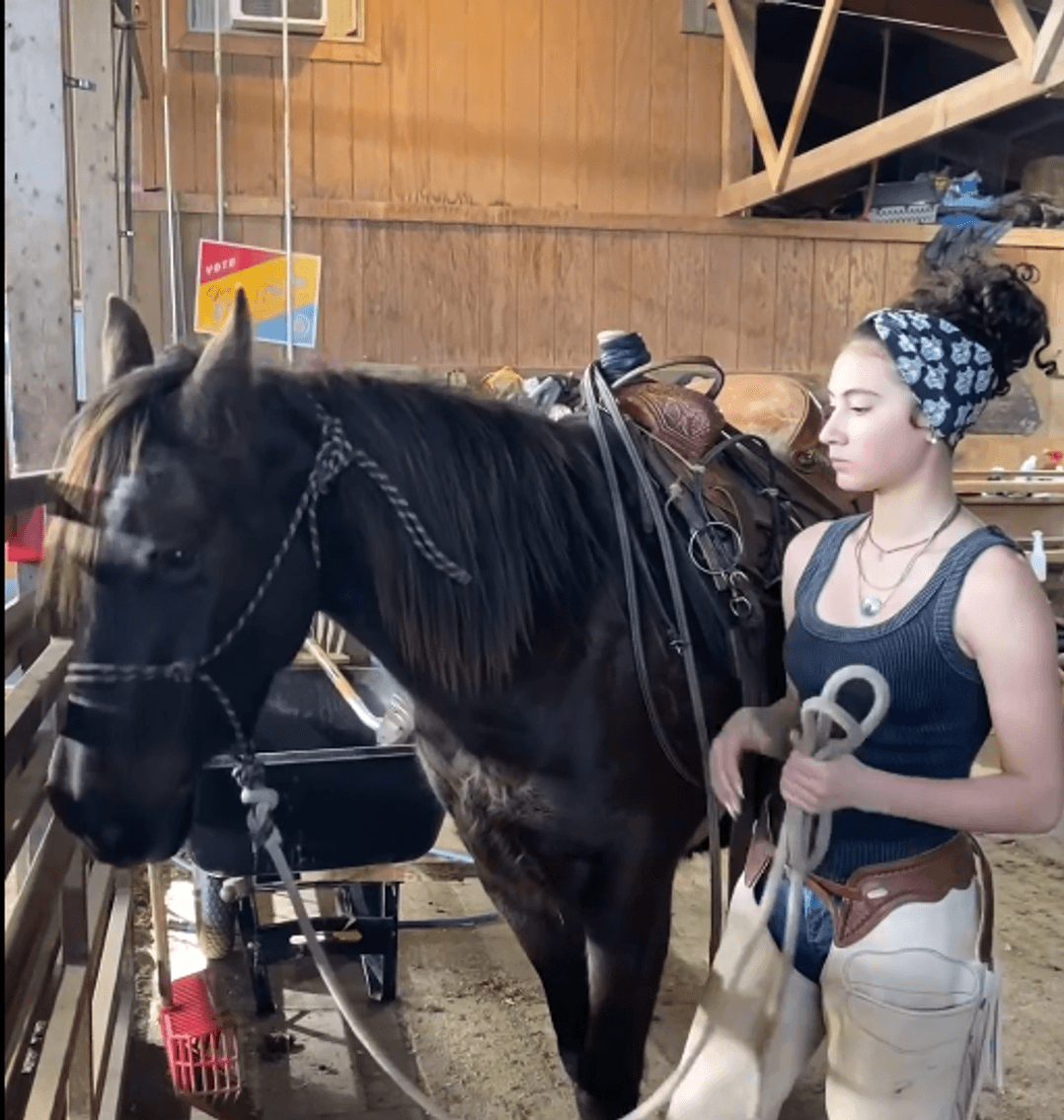 Image for Hermanson-Kist Spring All Breed Horse Sale - Mandan, North Dakota March 21st