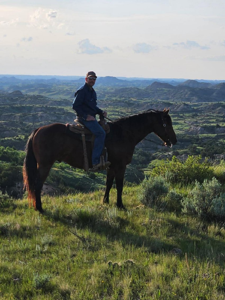 Image for Hermanson-Kist Spring All Breed Horse Sale - Mandan, North Dakota March 21st