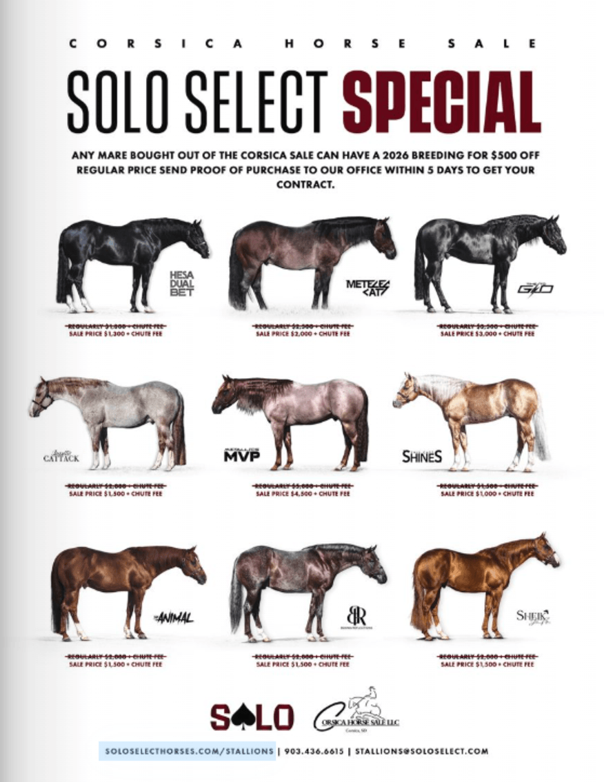 Image for Corsica Horse Sale Two Day April Horse Sale - DAY ONE - SATURDAY, APRIL 11TH - Corsica, South Dakota
