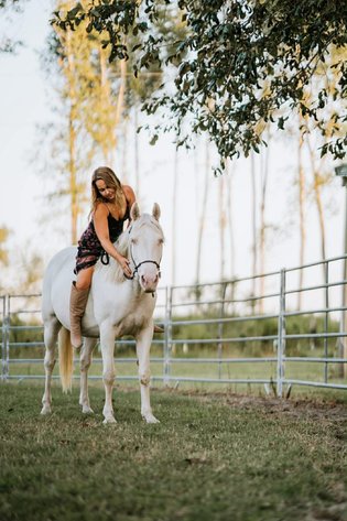 Image for Courtland Tack And Horse Auction Saturday ,April 18 ,2026