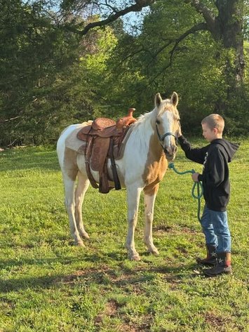 Image for Fort Smith Horse & Mule Sale - SATURDAY, APRIL 18TH - Moffett, Oklahoma
