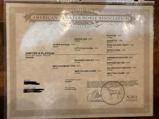 Image for Fort Smith Horse & Mule Sale - SATURDAY, APRIL 18TH - Moffett, Oklahoma