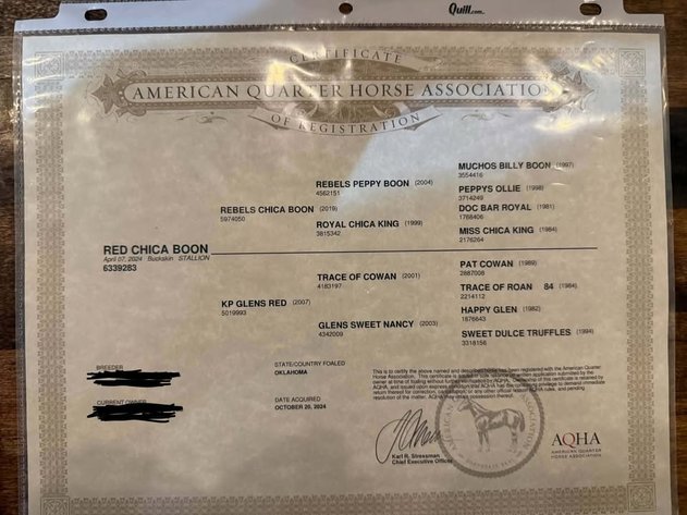 Image for Fort Smith Horse & Mule Sale - SATURDAY, APRIL 18TH - Moffett, Oklahoma