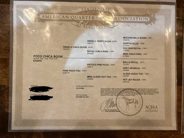 Image for Fort Smith Horse & Mule Sale - SATURDAY, APRIL 18TH - Moffett, Oklahoma